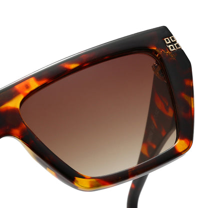 Dollger Thick Geek-Chic Geometric Tinted Sunglasses