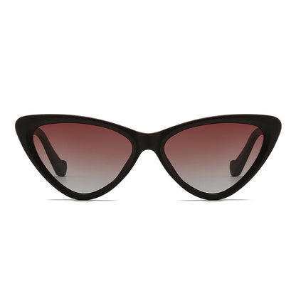 Dollger Acetate Cat-Eye Tinted Sunglasses