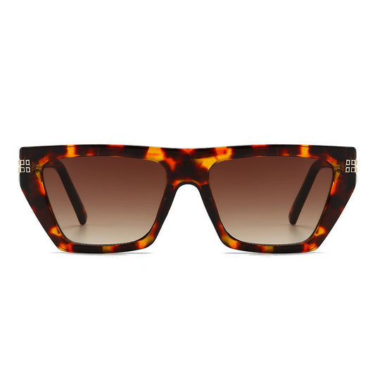 Dollger Thick Geek-Chic Geometric Tinted Sunglasses