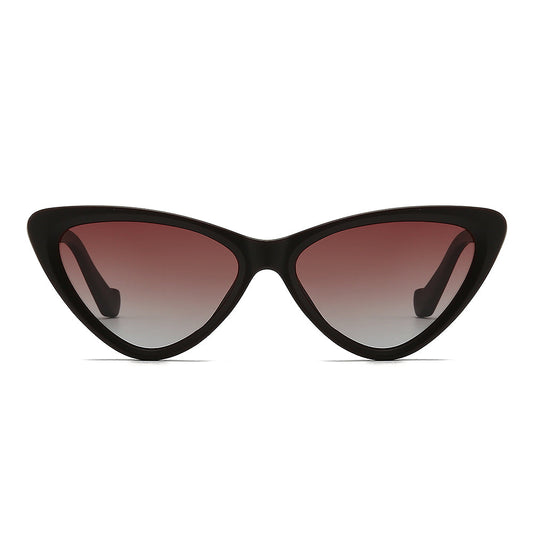 Dollger Acetate Cat-Eye Tinted Sunglasses
