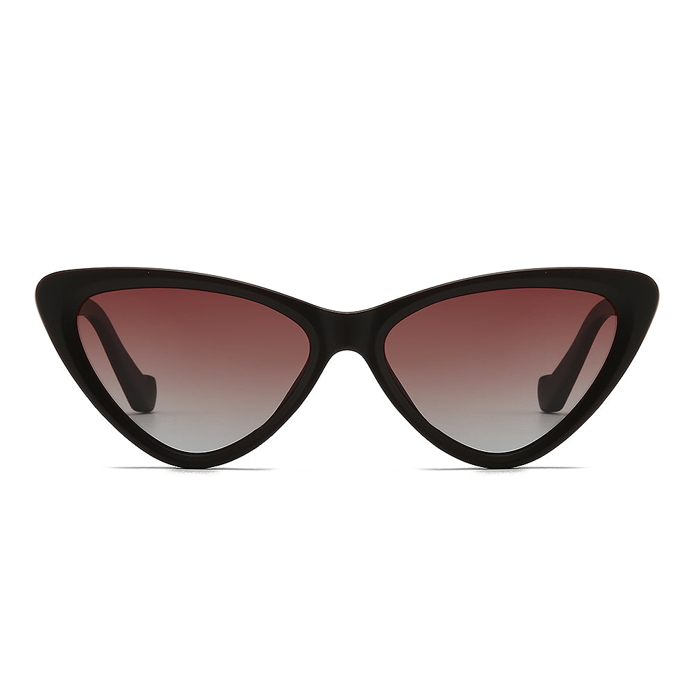 Dollger Acetate Cat-Eye Tinted Sunglasses