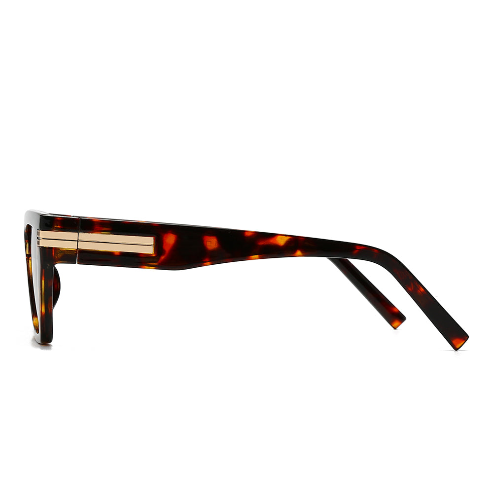 Dollger Thick Geek-Chic Geometric Tinted Sunglasses