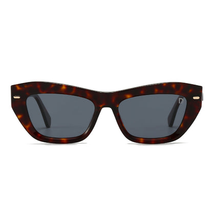 Dollger Square Cat-Eye Tinted Sunglasses